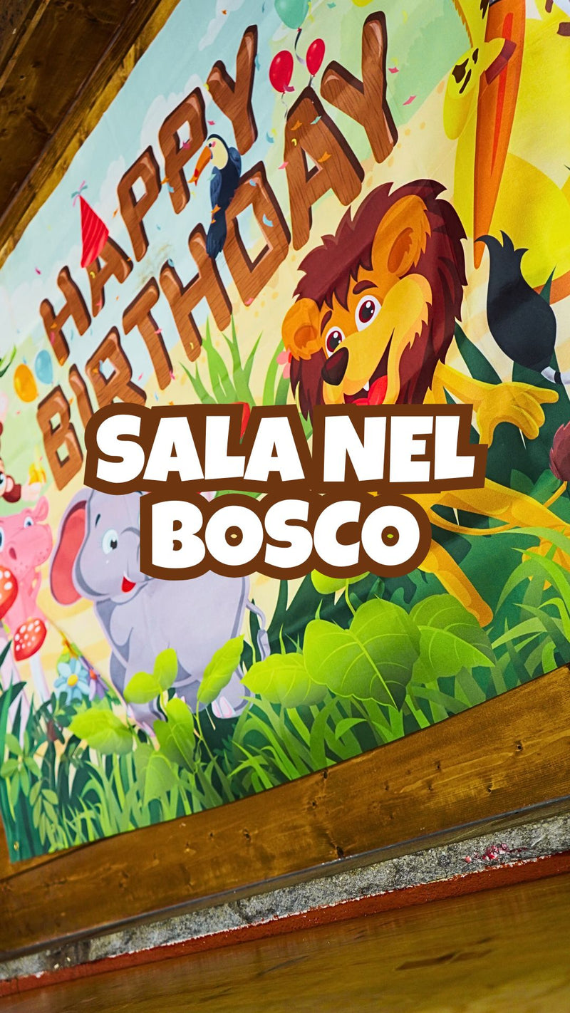 sala feste di compleanno al chiuso playground area giochi roma frascati grottaferrata monte porzio catone