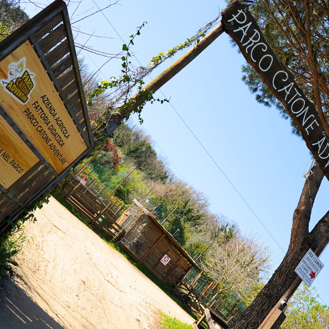 ingresso al parco catone adventure 2€ roma