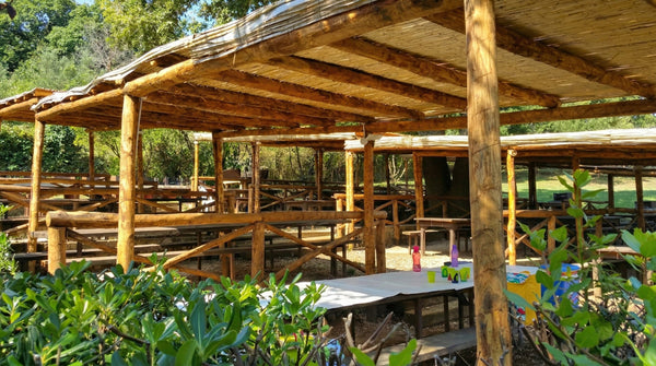 Area Picnic con Barbecue Vicino a Me: La Tua Scampagnata a Due Passi da Roma