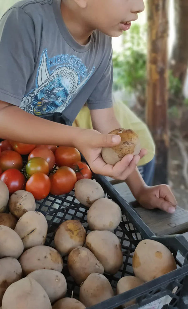Centro Estivo a Roma 2026: Avventura e Natura nella nostra Fattoria Didattica