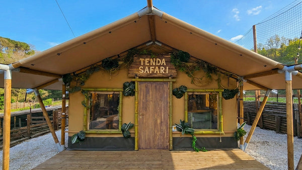 TENDA SAFARI