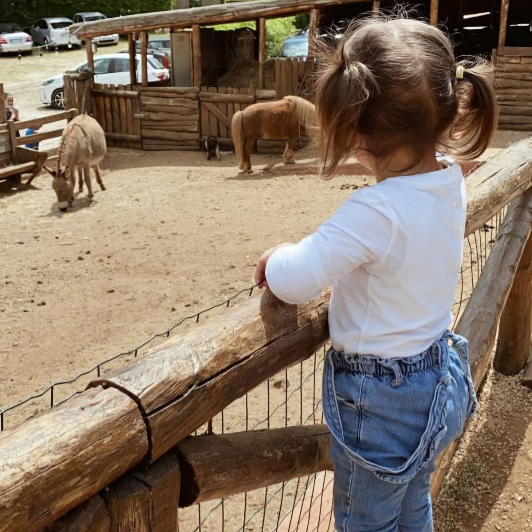 fattoria didattica bambini animali roma vicino a me castelli romani monte porzio