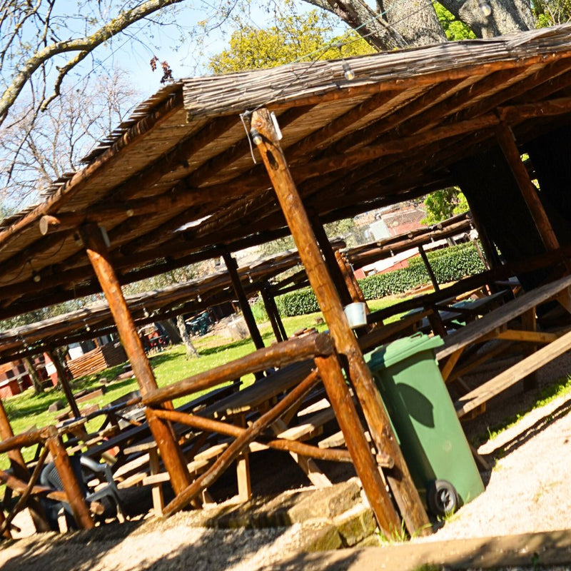 AREA PICNIC