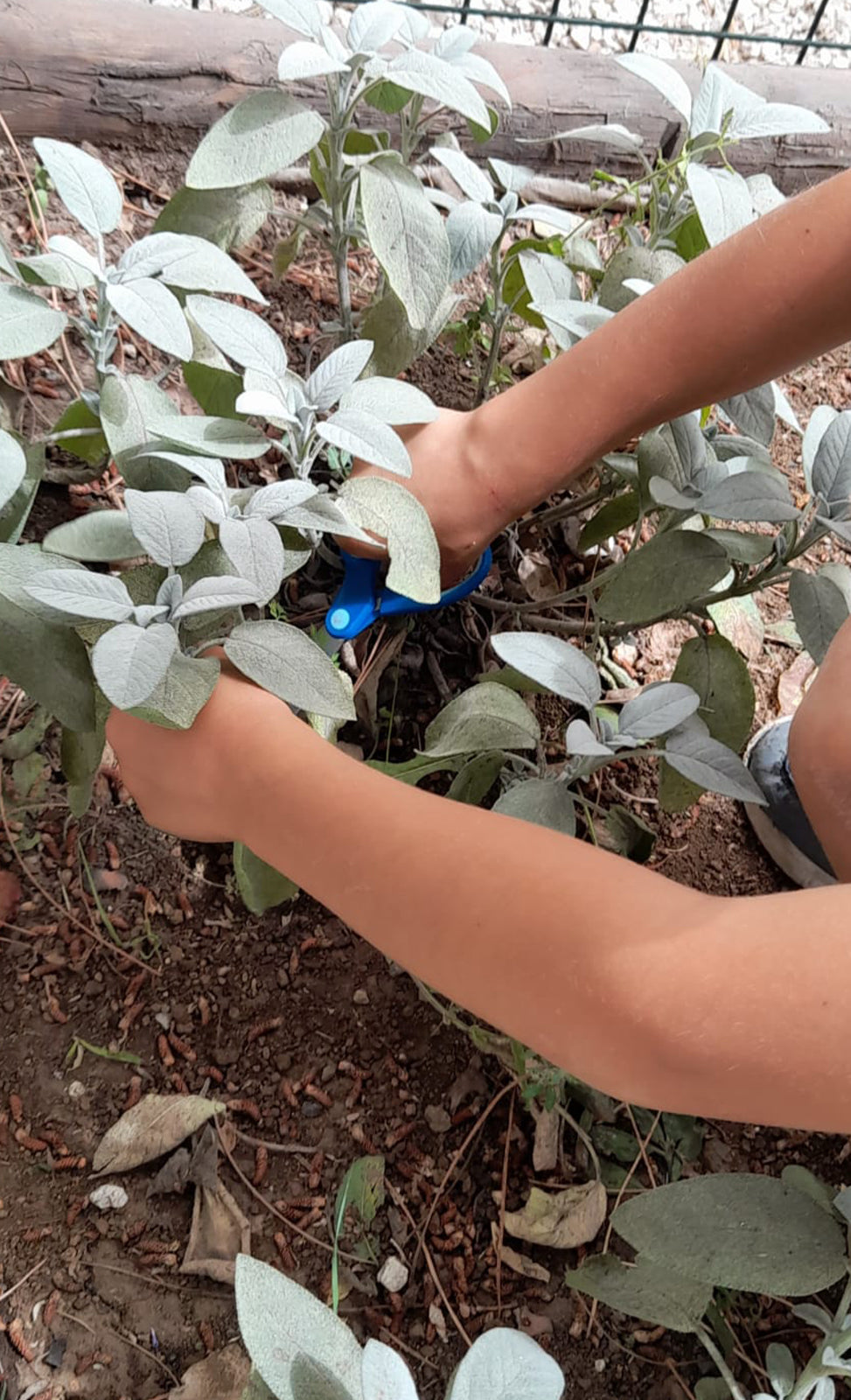centro estivo bambini frascati grottaferrata castelli romani parco catone adventure